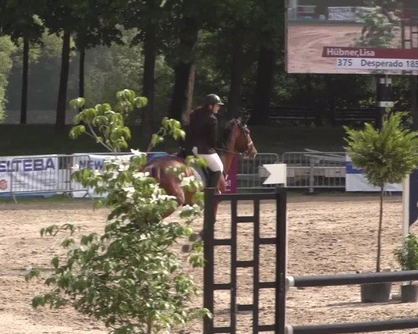 Reitturnier Mönchengladbach-Wickrath 2017