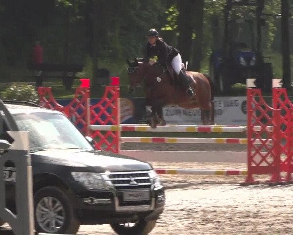 Reitturnier Mönchengladbach-Wickrath 2017