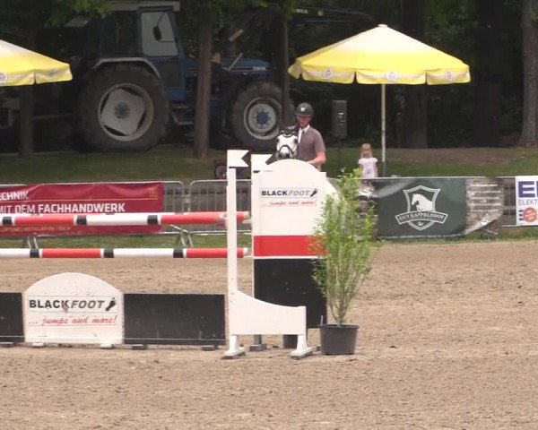 Reitturnier Mönchengladbach-Wickrath 2017