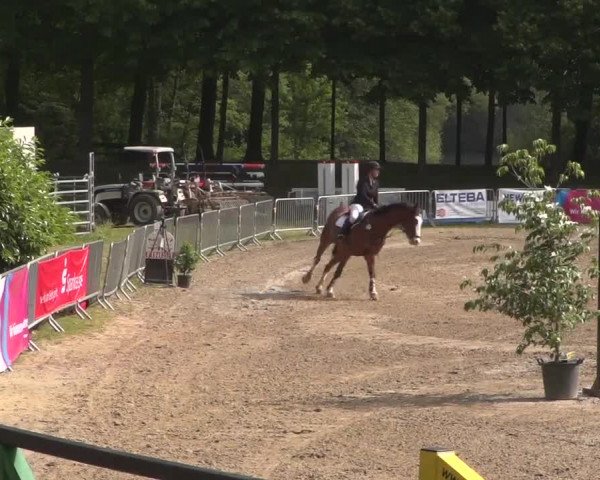 Reitturnier Mönchengladbach-Wickrath 2017
