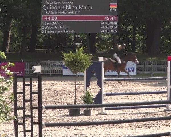 Reitturnier Mönchengladbach-Wickrath 2017