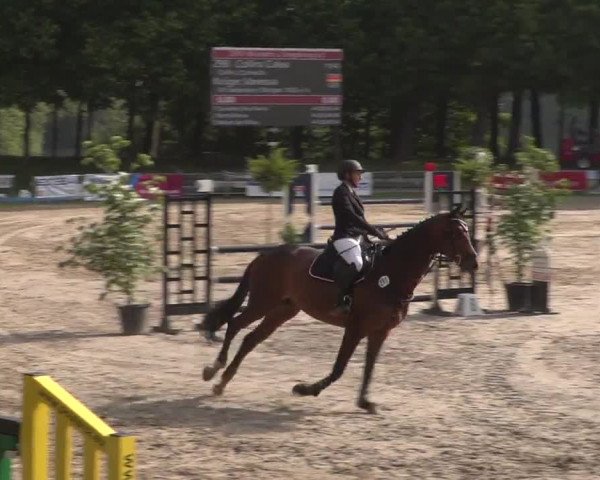 Reitturnier Mönchengladbach-Wickrath 2017