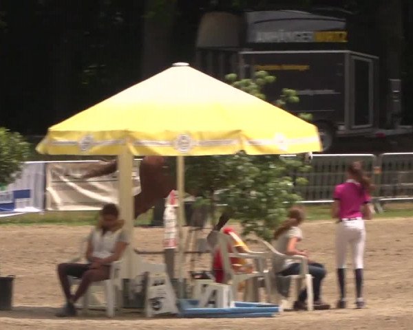 Reitturnier Mönchengladbach-Wickrath 2017
