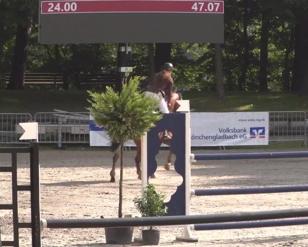 Reitturnier Mönchengladbach-Wickrath 2017