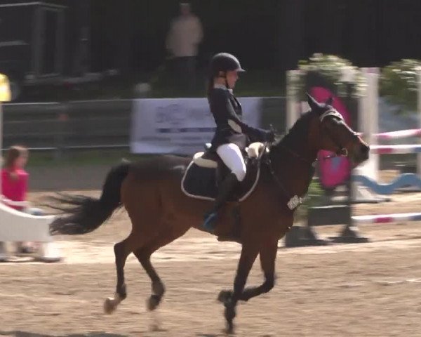 Reitturnier Mönchengladbach-Wickrath 2017
