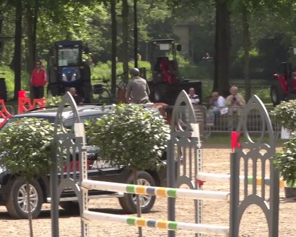 Reitturnier Mönchengladbach-Wickrath 2017