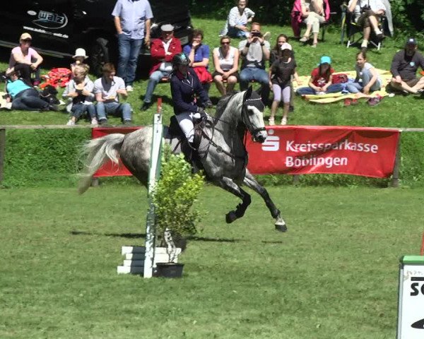 Reitturnier Jettingen 2017