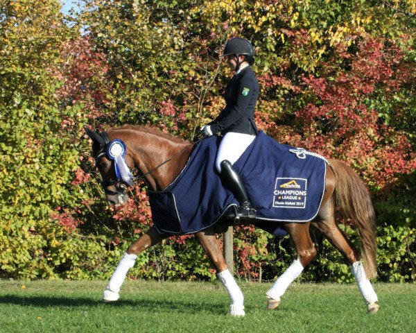 broodmare Never Forget D (German Riding Pony, 2013, from Fs Numero Uno)