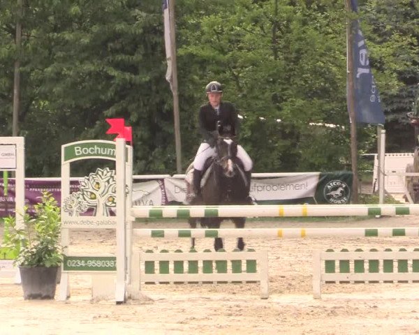 Reitturnier Bochum-Nord 2017