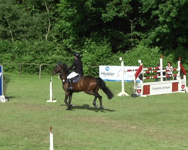 Reitturnier Jettingen 2017