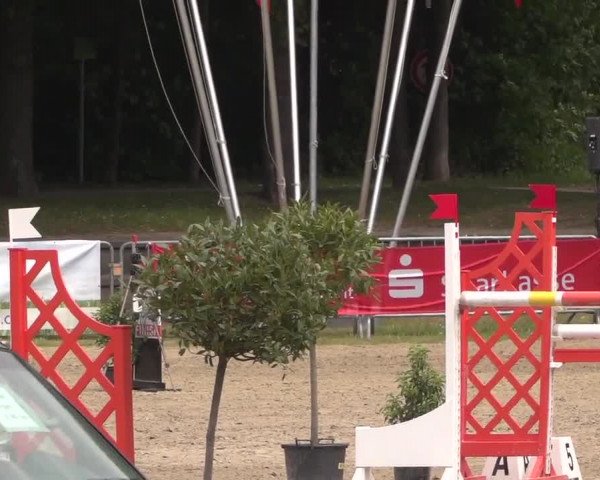Reitturnier Mönchengladbach-Wickrath 2017