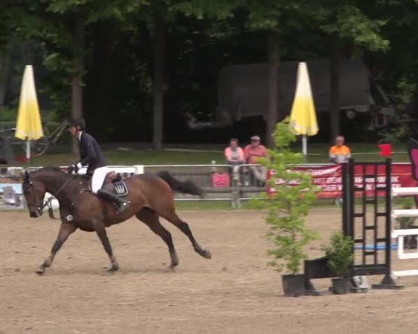 Reitturnier Mönchengladbach-Wickrath 2017