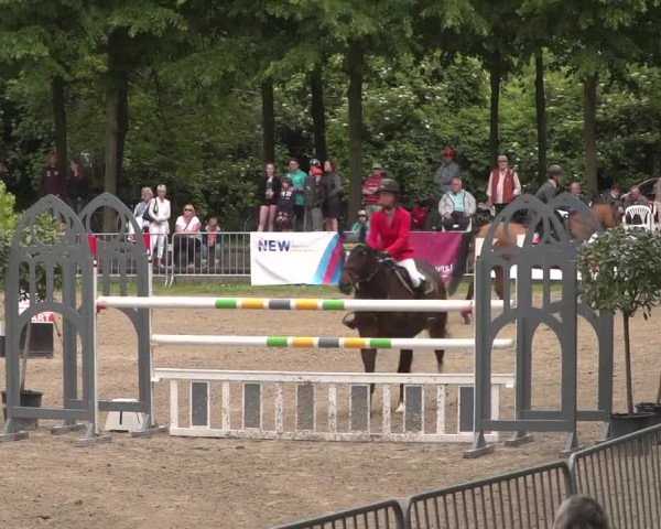 Reitturnier Mönchengladbach-Wickrath 2017