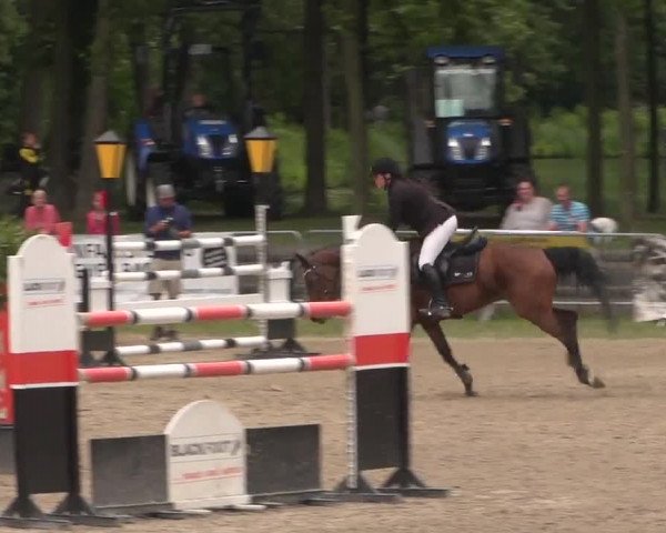 Reitturnier Mönchengladbach-Wickrath 2017