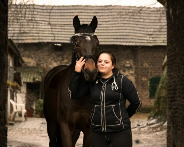 Dressurpferd Solist (Westfale, 2005, von Sandro Hit)