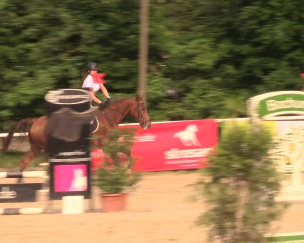 Reitturnier Bochum-Nord 2017
