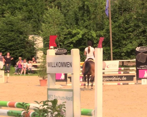 Reitturnier Bochum-Nord 2017