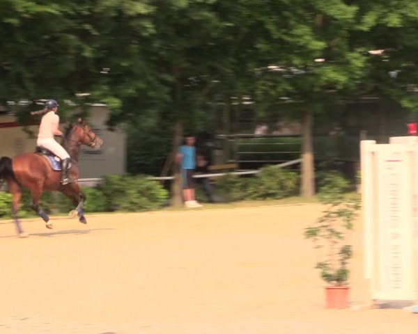Reitturnier Bochum-Nord 2017