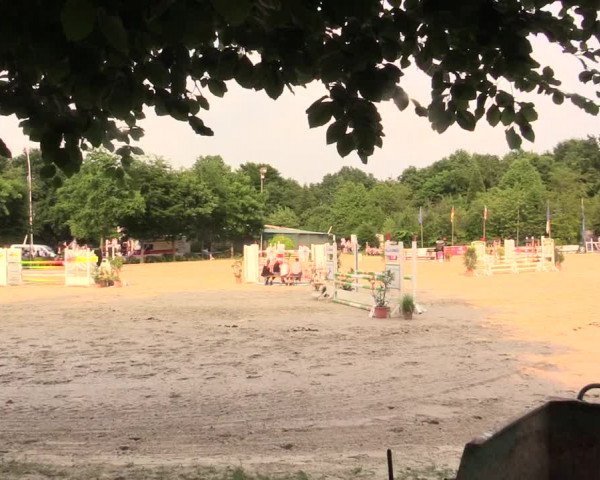 Reitturnier Bochum-Nord 2017