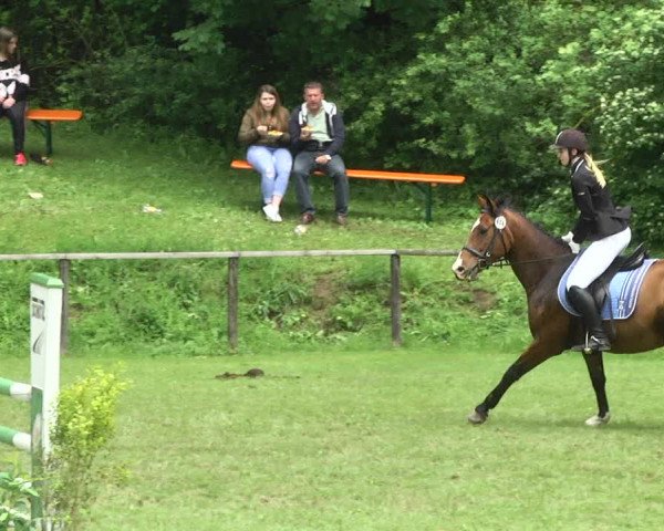 Reitturnier Jettingen 2017