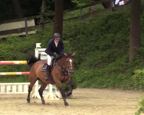 Reitturnier Iserlohn-Kalthof 2017