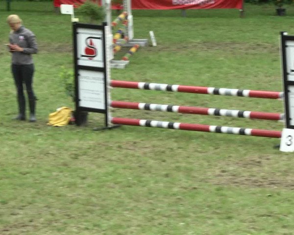 Reitturnier Jettingen 2017