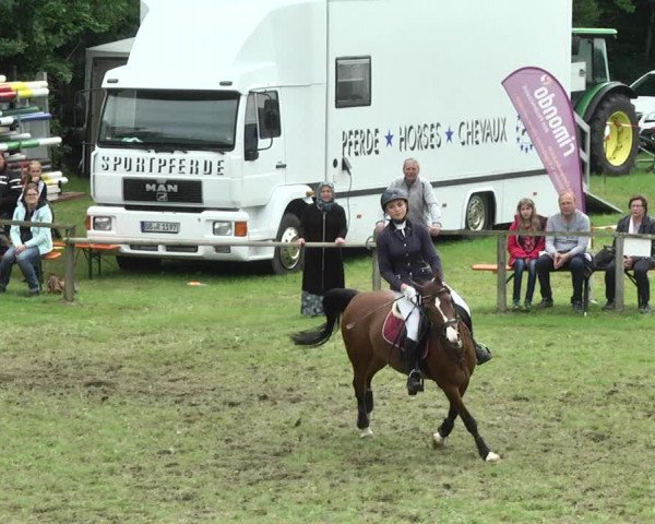 Reitturnier Jettingen 2017