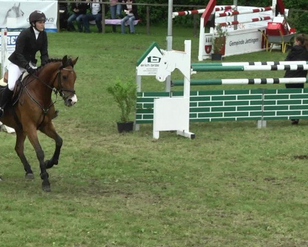 Reitturnier Jettingen 2017