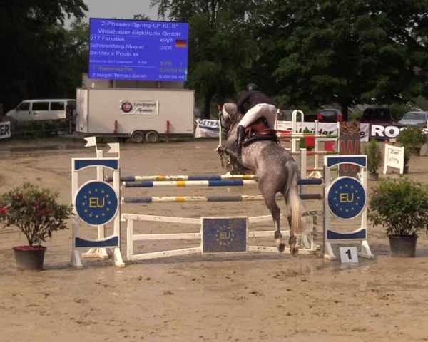 Reitturnier Iserlohn-Kalthof 2017