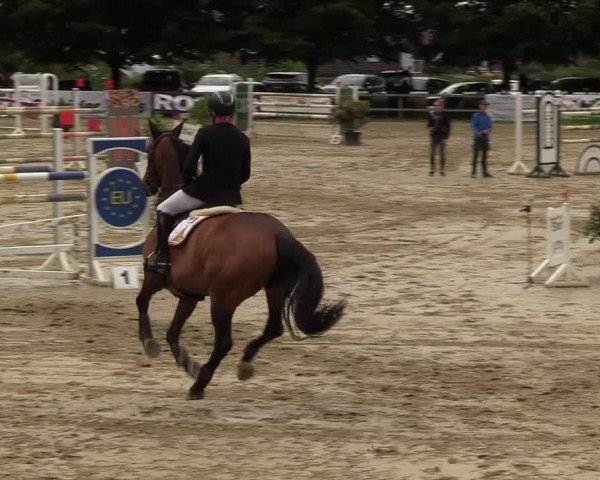 Reitturnier Iserlohn-Kalthof 2017