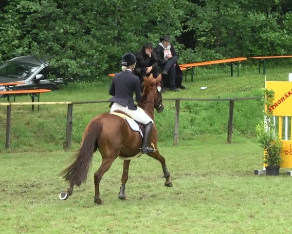 Reitturnier Jettingen 2017