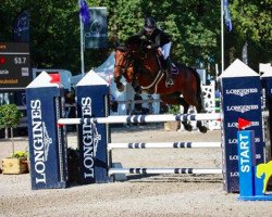Springpferd Nashville van het Meulenhof (Belgisches Warmblut, 2013, von Elvis Ter Putte)