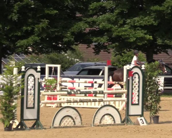 Reitturnier Iserlohn-Kalthof 2017