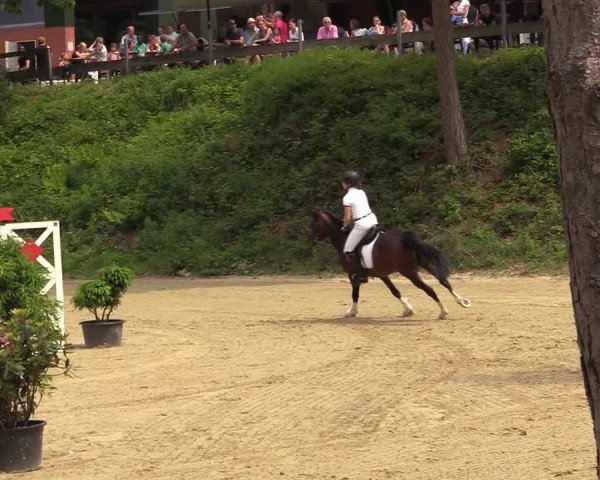 Reitturnier Iserlohn-Kalthof 2017