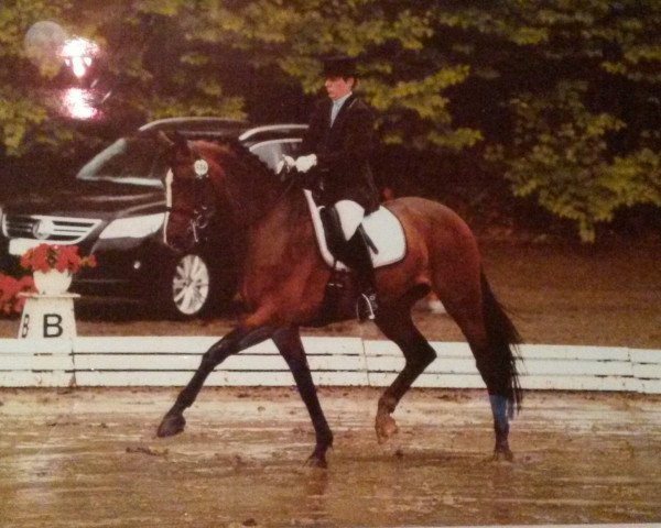 Klacz hodowlana Leonie (Rheinländer, 2002, od Lebenskünstler)