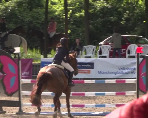 Reitturnier Mönchengladbach-Wickrath 2017