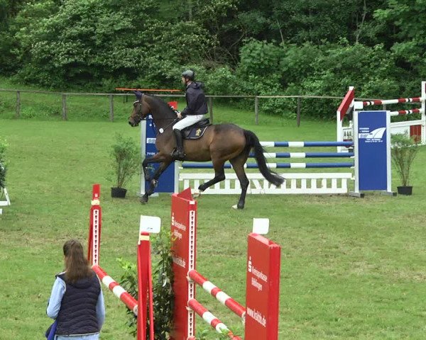 Reitturnier Jettingen 2017