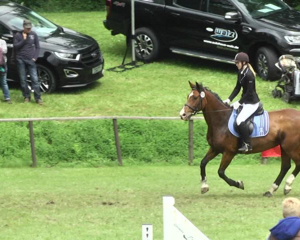 Reitturnier Jettingen 2017