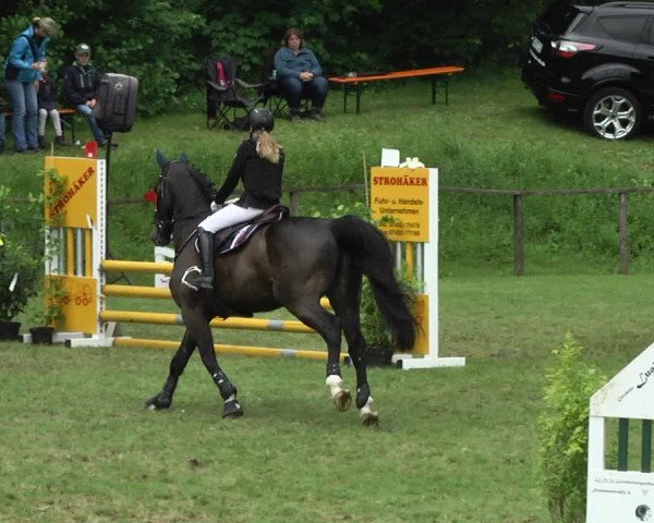 Reitturnier Jettingen 2017
