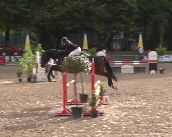 Reitturnier Mönchengladbach-Wickrath 2017