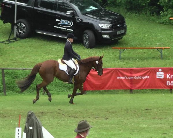 Reitturnier Jettingen 2017