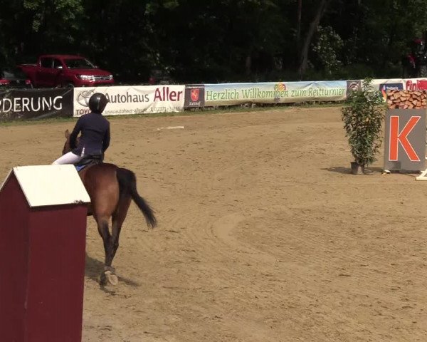 Reitturnier Iserlohn-Kalthof 2017