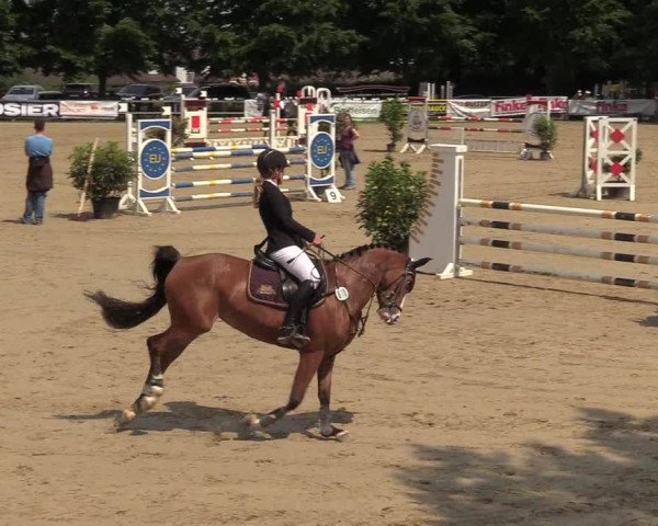 Reitturnier Iserlohn-Kalthof 2017