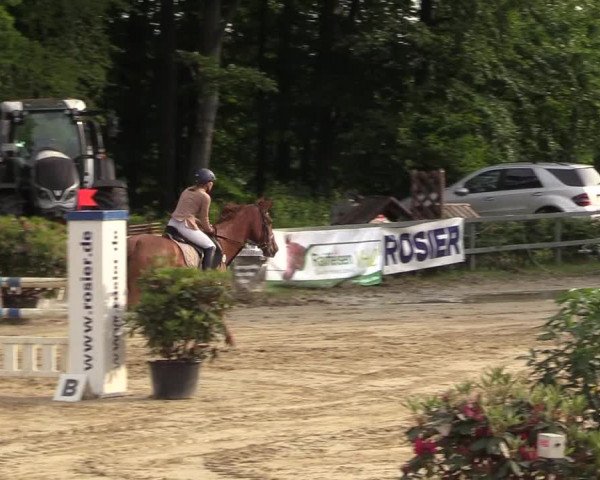 Reitturnier Iserlohn-Kalthof 2017