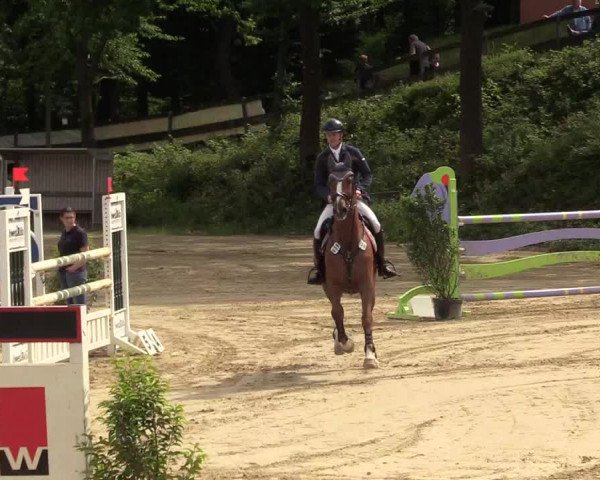 Reitturnier Iserlohn-Kalthof 2017
