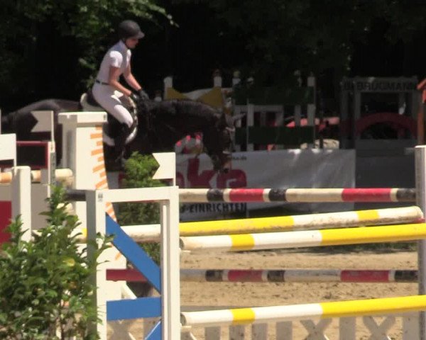 Reitturnier Iserlohn-Kalthof 2017