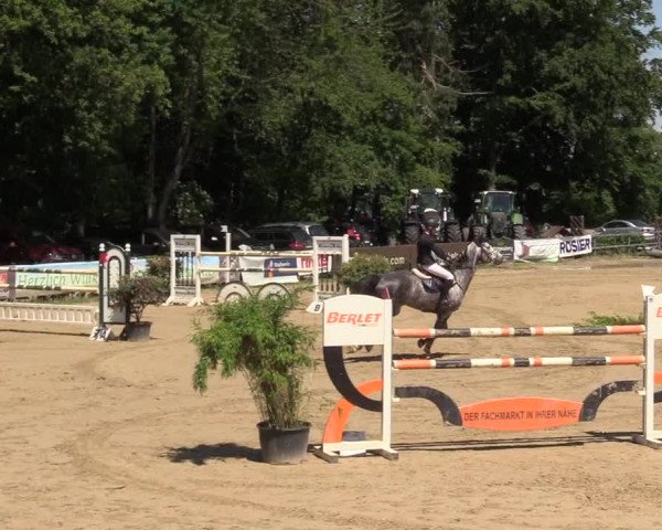 Reitturnier Iserlohn-Kalthof 2017