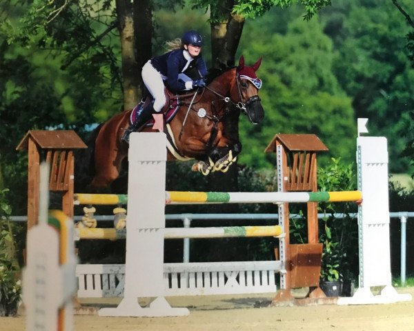 Springpferd Escala 7 (KWPN (Niederländisches Warmblut), 2009, von Richebourg)