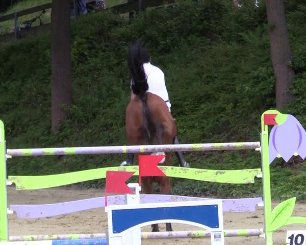 Reitturnier Iserlohn-Kalthof 2017