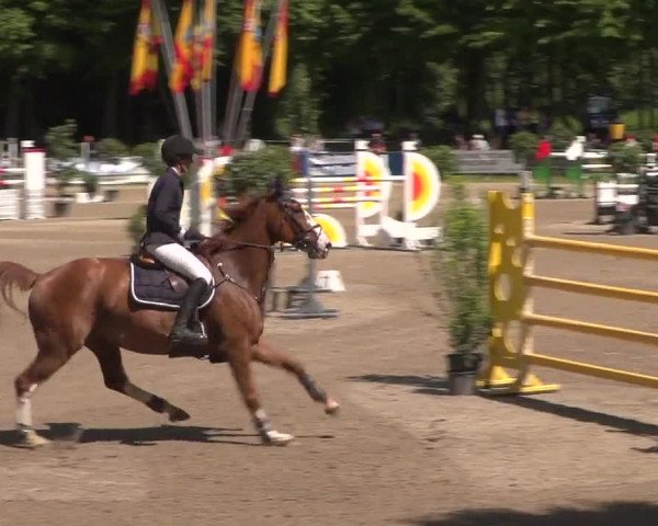 Reitturnier Mönchengladbach-Wickrath 2017